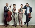 Bild zu Konzert mit dem Quatuor DIOTIMA (Streichquartett). Copyright: Foto: quatuordiotima.fr