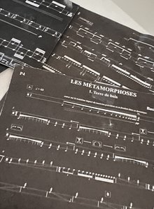 Bild zu Zeynep Gedizlioğlu (Stipendium 2025/26). Copyright: Noten von Bastien David @ IKVC