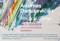 Bild zu Adomas Danusevičius: MAGICAL CAMP (26.7.-15.8.2018). Copyright: 